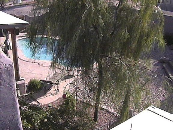 island bbq and bar already purchased going under tree to left