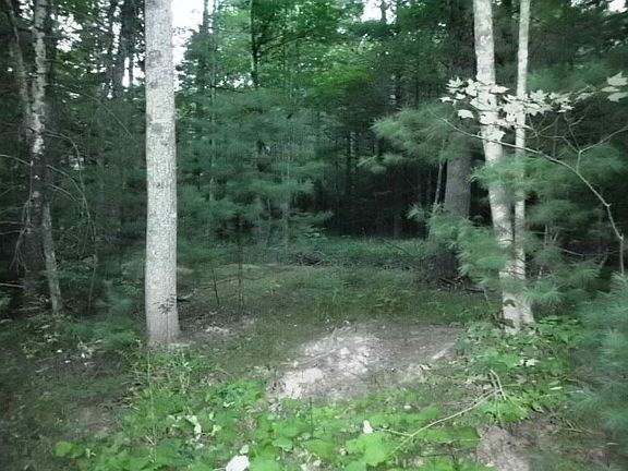 5th image of 2010 Moncove Lake Access Rd