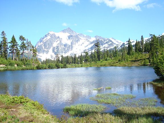 5th image of 10287 Old Mount Baker Hwy