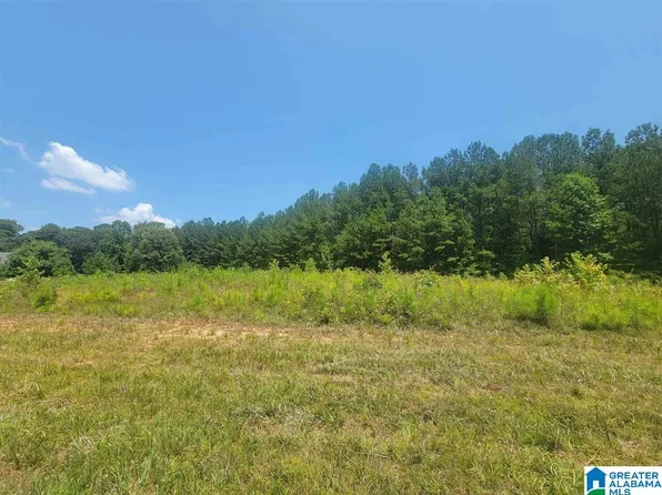 20 Mary Dr, Roanoke, AL 36274