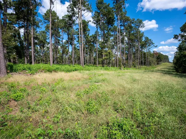 Fm 1745 N, Colmesneil, TX 75938