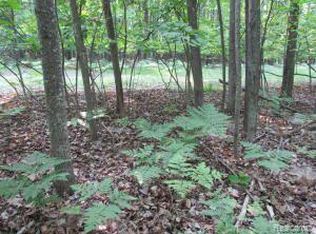Vacant Garfield Harrison Lots 12 18 & 35 38 Blvd, Roscommon, MI 48653