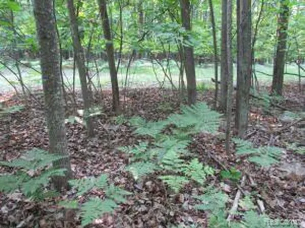 Vacant Garfield Harrison Lots 12 18 & 35 38 Blvd, Roscommon, MI 48653