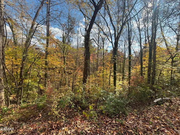 55A Pine Dr, Pigeon Forge, TN 37863