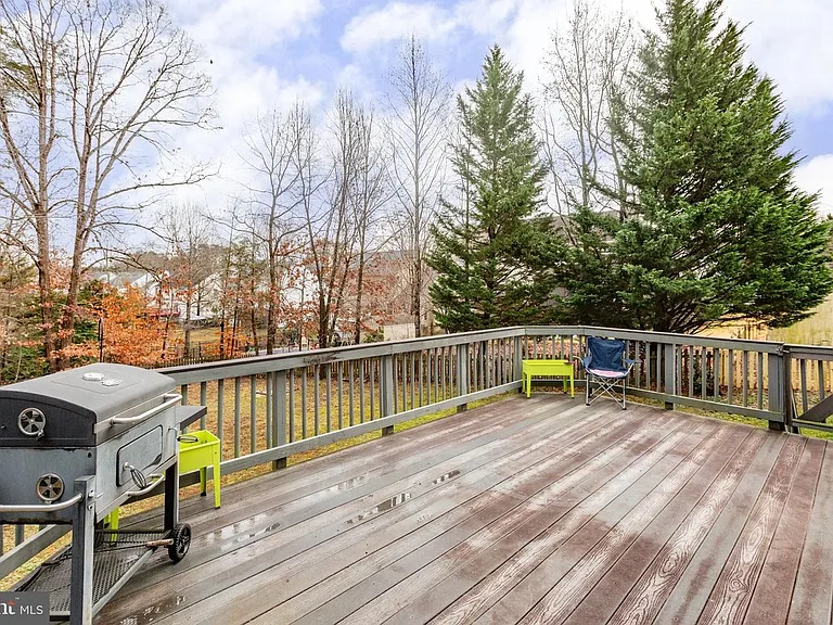 10103 Cotter Ct — Photo 41