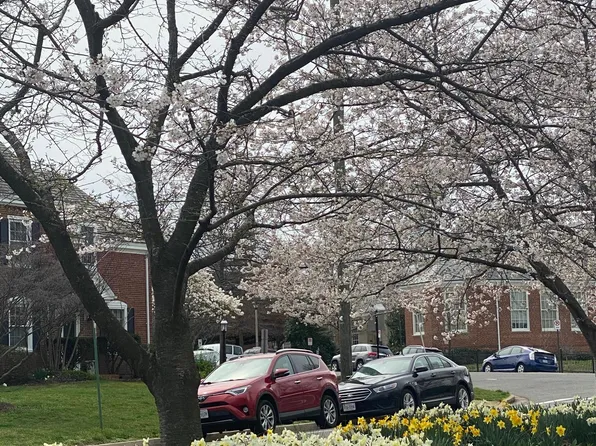 4404 36th St S, Arlington, VA 22206