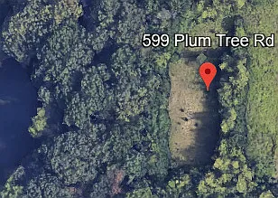 599 N Plum Tree Rd photo 1