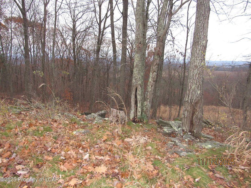 2nd image of 115 Manorview Dr