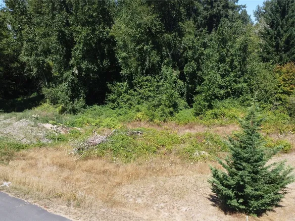 3009 342nd Street Ct S, Roy, WA 98580