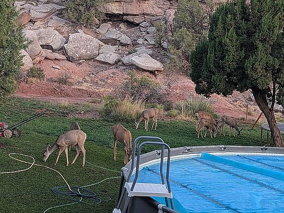 5th image of 4080 Black Mesa Valley Rd