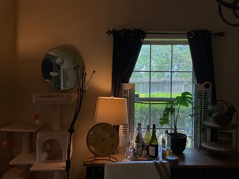 29 Hillcrest Dr #6 — Photo 11