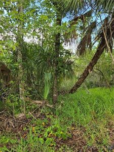 10894 W Larchwood St, Homosassa, FL, 34448