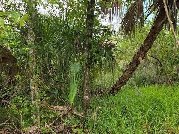10894 W Larchwood St, Homosassa, FL 34448