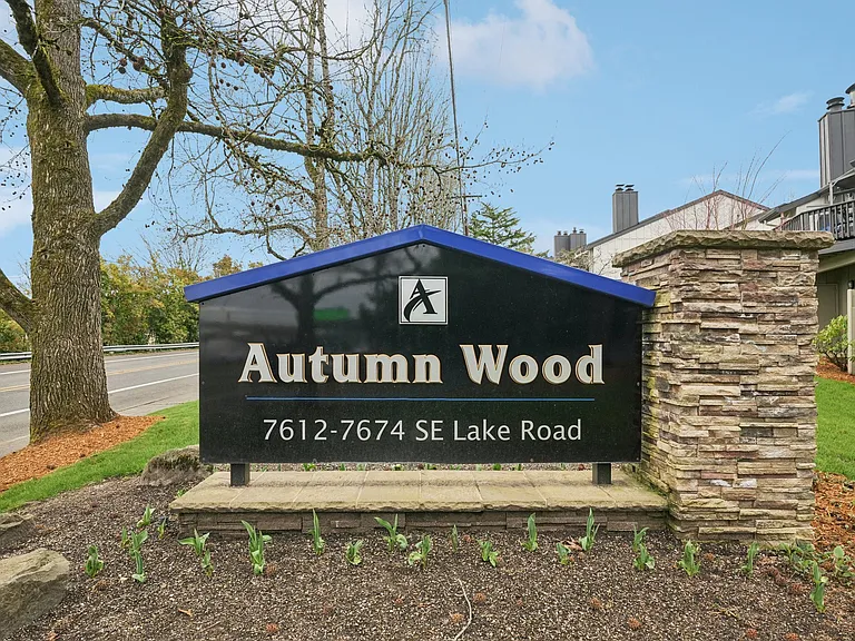 Autumn Wood — Photo 21