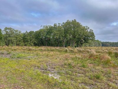 00 County Road 341, Bell, FL, 32619