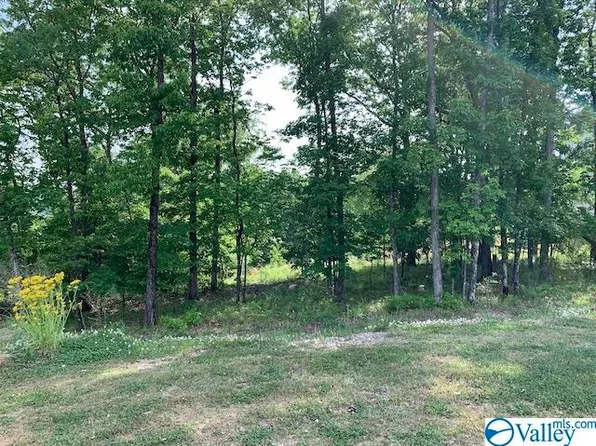 35 Watson Grande Way SE, Brownsboro, AL 35741