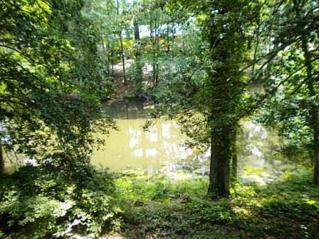 Pond