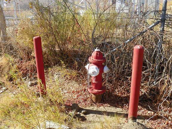 Water Services Nearby