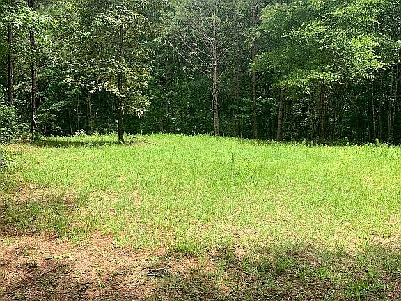 3rd image of 0 Greystone Ct