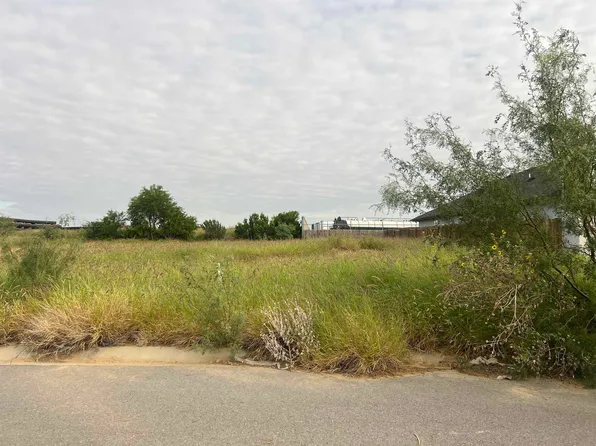 6704 El Jinete Dr, Laredo, TX 78043