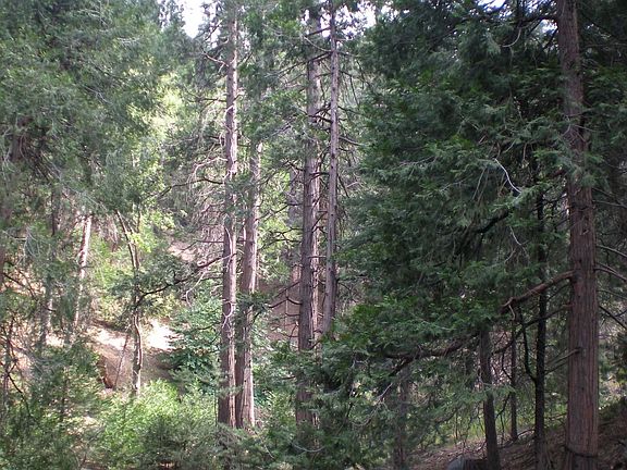 View from back patio