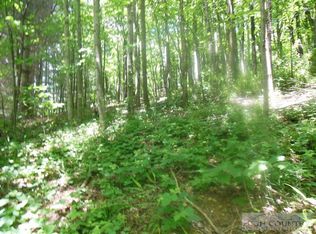 Tbd Off Mount Zion Church Rd, Sparta, NC 28675