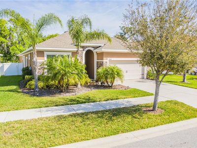 11848 Frost Aster Dr, Riverview, FL, 33579