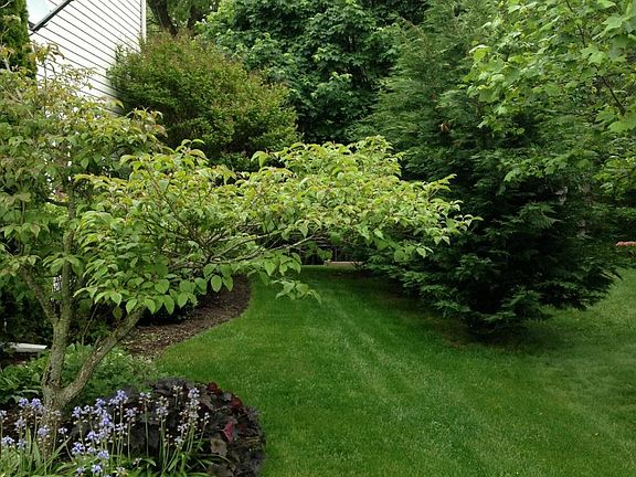 Garage side of house