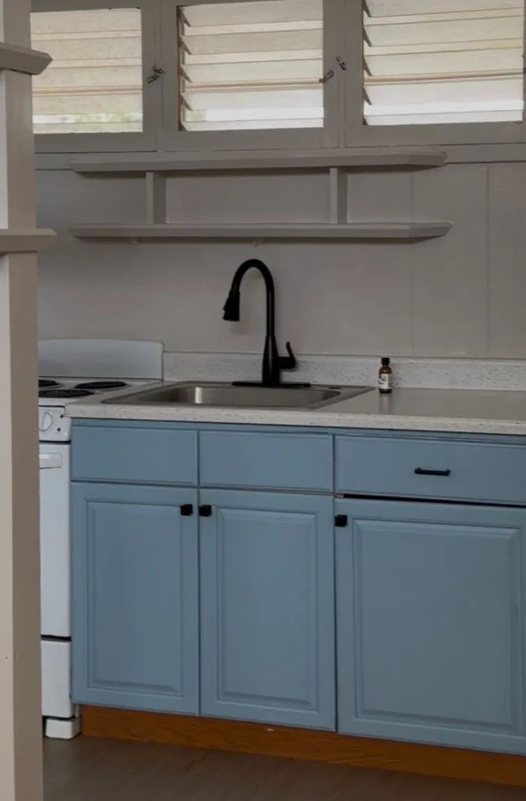 1 bed, 450 sqft, $1,700 — Photo 3