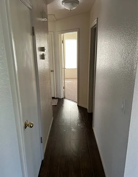 2502 Drummond Dr — Photo 4