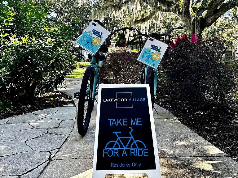 Take our bicycles out for a spin!