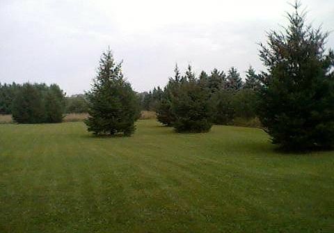 Frontyard-1