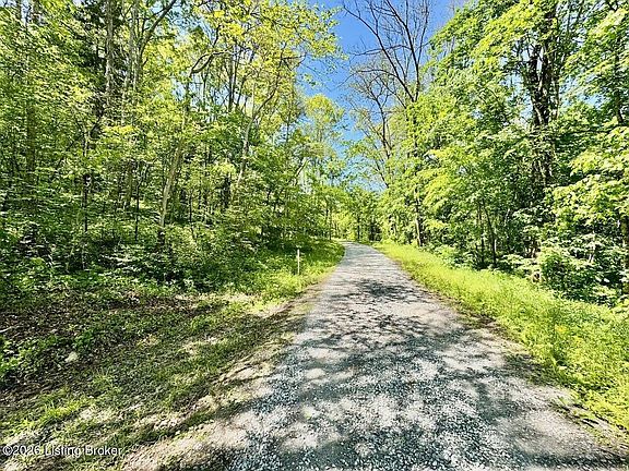 2nd image of 0 Three Lick Rd