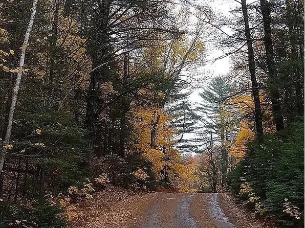 TBD County Road AAP Road, Champion, MI 49814