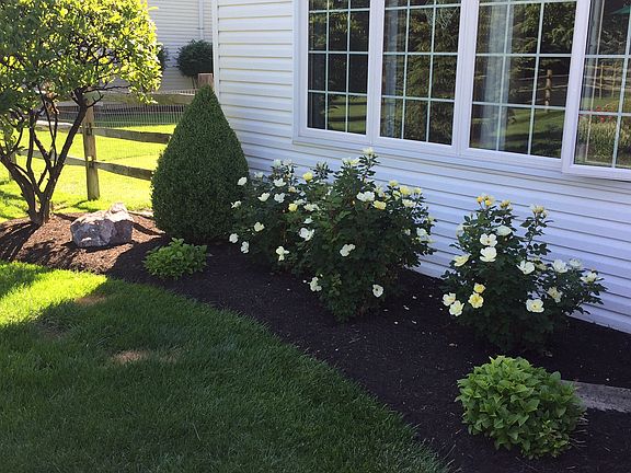 5th image of 2923 Back Bay Dr