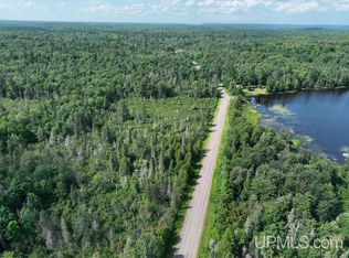 0 Gold Mine Lake Rd, Ishpeming, MI 49849