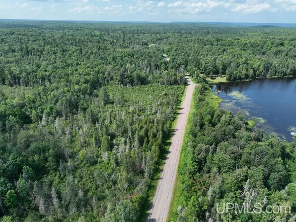0 Gold Mine Lake Rd, Ishpeming, MI 49849