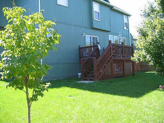 Level yard with growind trees