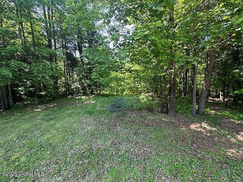 5th image of 261 Chipmunk Lane