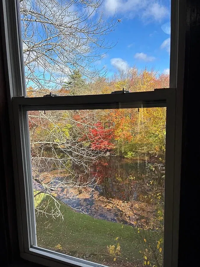 1 bed, 588 sqft, $1,500 — Photo 4