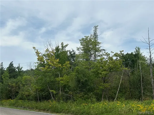 0 Tinkham Rd Lot 51, Attica, NY 14011