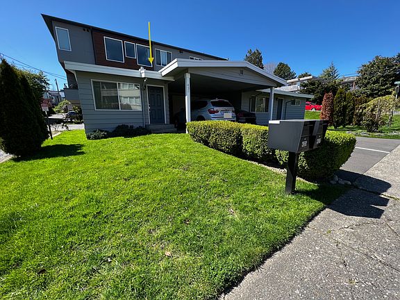 Exterior Lawn