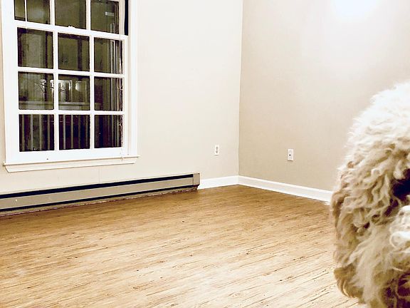 5th image of 51 Nahant St #2