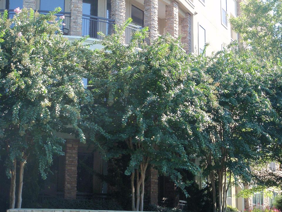 1st image of 2600 Hillsboro Pike APT 304