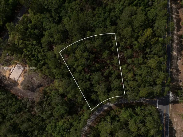 0 Fisher Trace Dr, Ocklawaha, FL 32179
