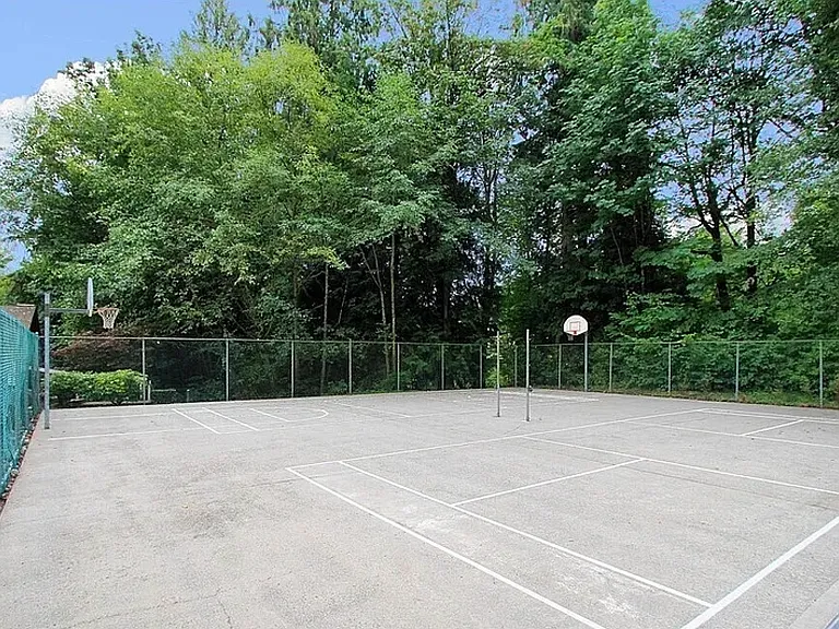 Basketball Court