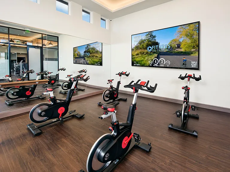 Spin Studio