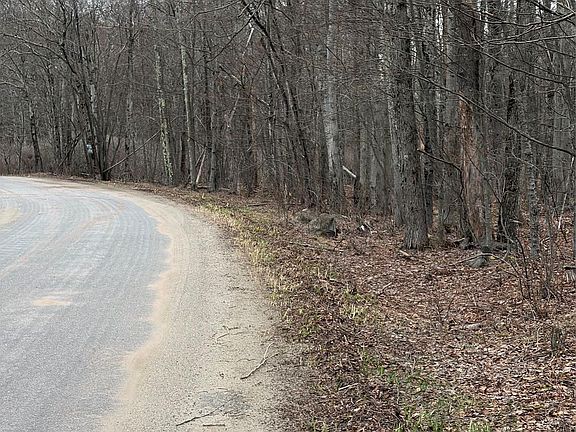 4th image of Fox Mountain