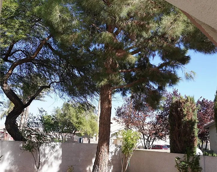 5524 Big Sky Ln — Photo 29