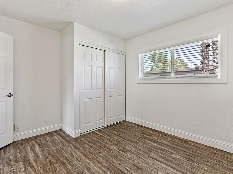 Palm Court Apartments — Photo 12
